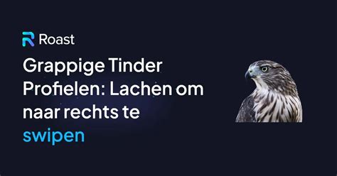 tinder naar rechts swipen|16 Tinder Persoonlijkheidstypes: Betekenissen en。